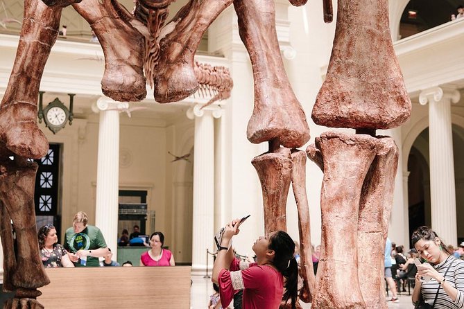 Field Museum of Natural History Admission Tickets - Ancient Egypt offers more than a mummy display