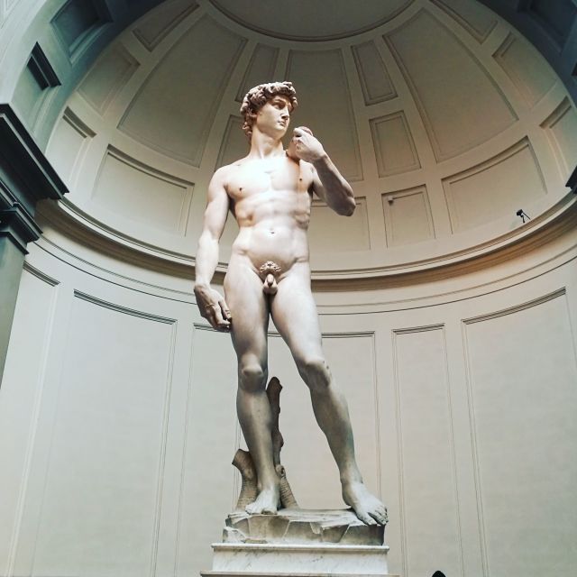 Florence: Accademia Gallery Guided Experience - A one-hour route with useful focus