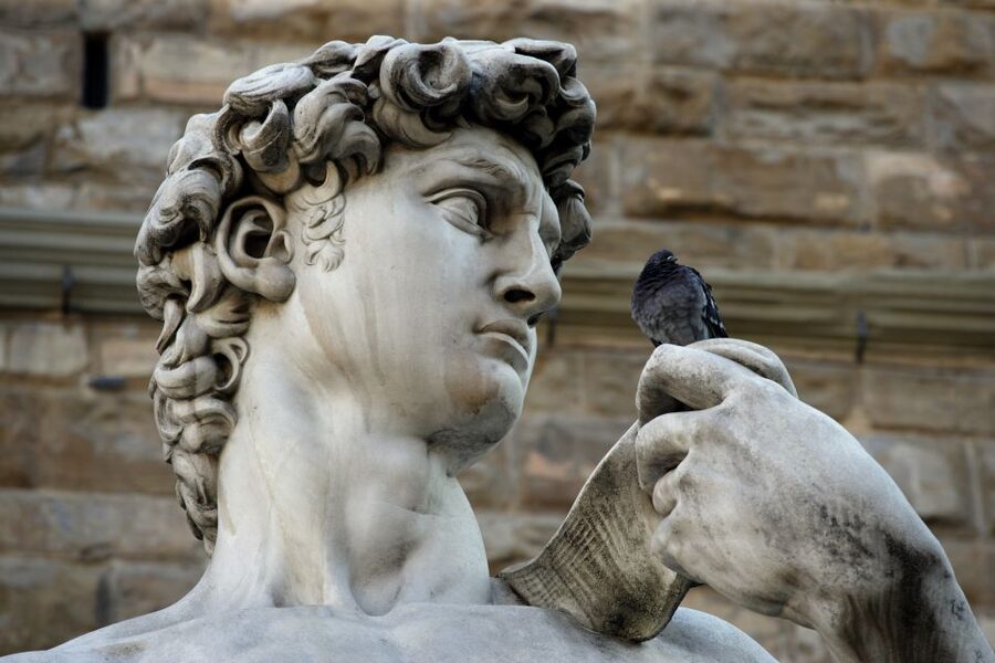 Florence: David's Accademia Gallery Guided Tour - Key points to know before you book