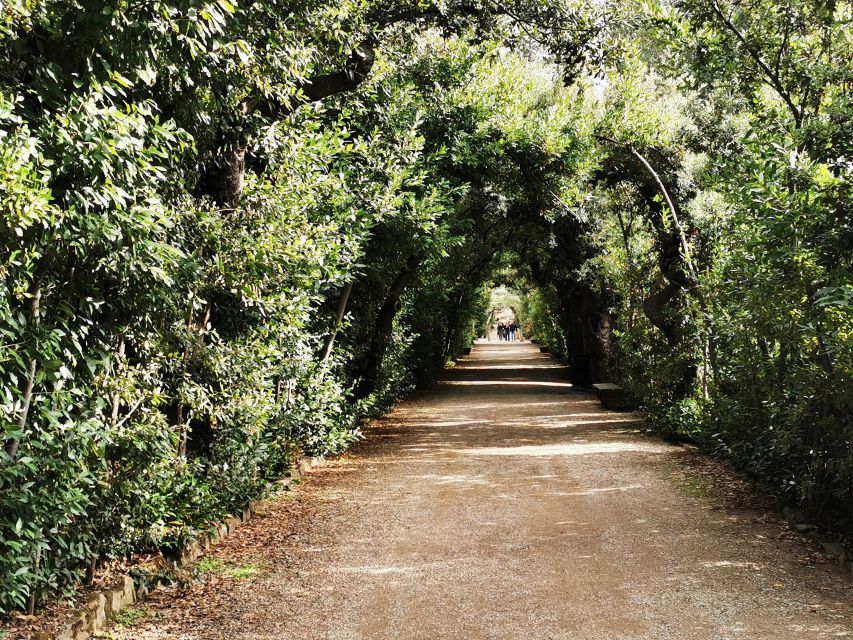 Florence: Pitti Palace, Boboli Garden, Palatine Gallery Tour - The grand courtyard and the Medici story
