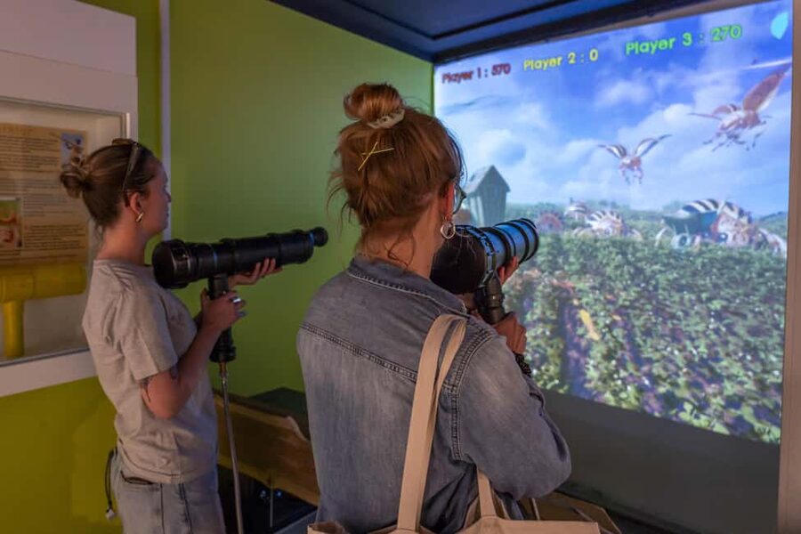 Frietmuseum Brussels: Entry to the fries museum with a tasty treat - Games, Films, and Selfie Spots