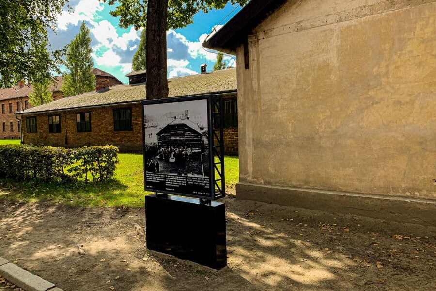 From Krakow: Auschwitz-Birkenau Memorial and Museum Tour - Should you book it?
