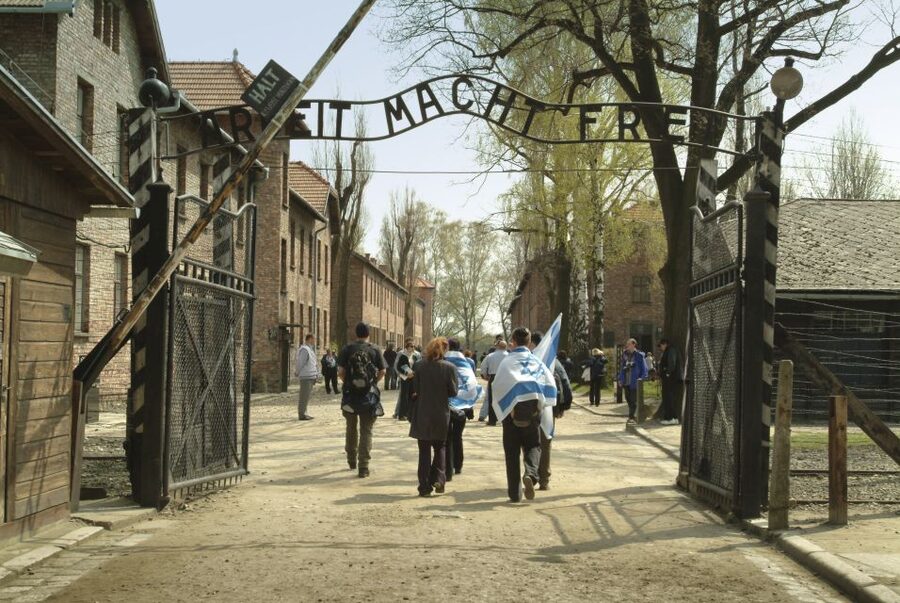 From Krakow: Auschwitz-Birkenau Memorial and Museum Tour - The Holocaust context and liberation of 1945