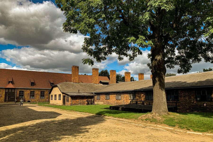 From Krakow: Auschwitz-Birkenau Memorial and Museum Tour - What the guide adds to the experience