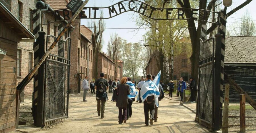 From Krakow: Auschwitz-Birkenau Memorial and Museum Tour - Walking, food, bags, and photographs