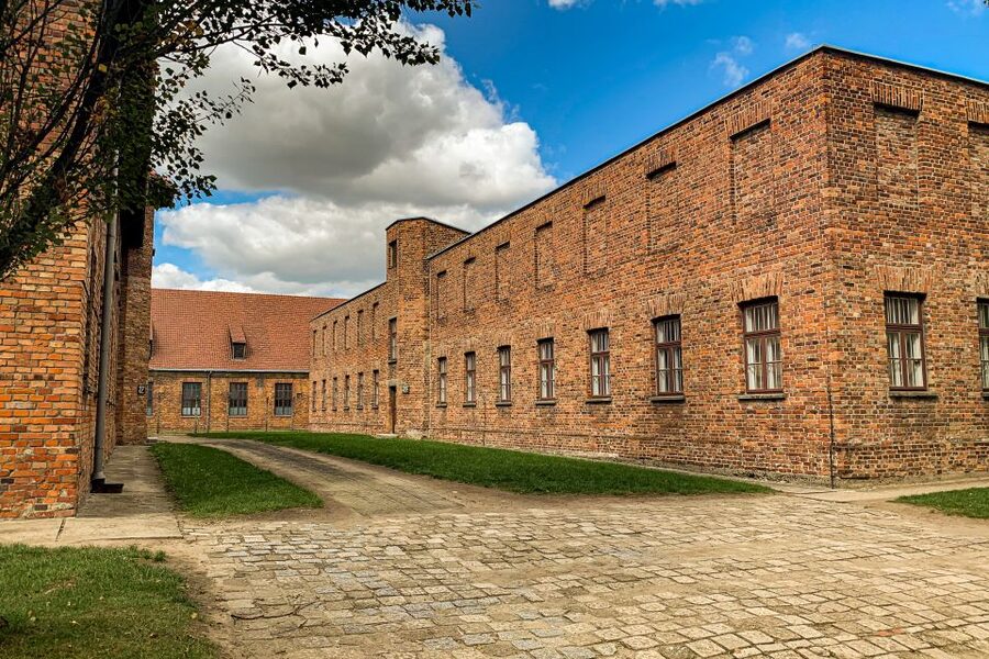 From Krakow: Auschwitz-Birkenau Memorial and Museum Tour - Is $81 a fair price?