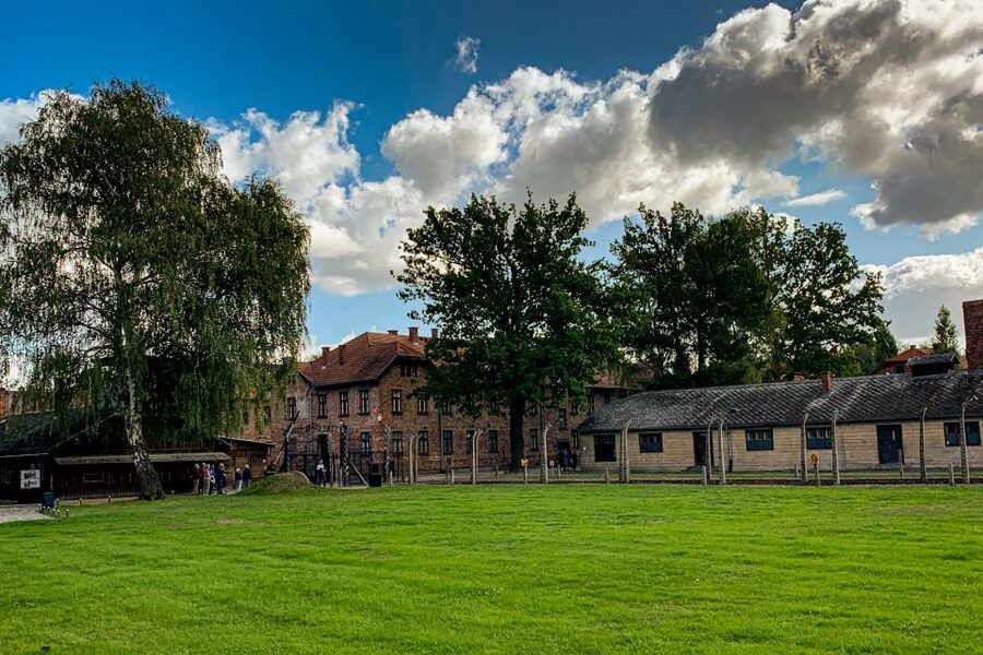 From Krakow: Auschwitz-Birkenau Memorial and Museum Tour - Who should choose this tour?