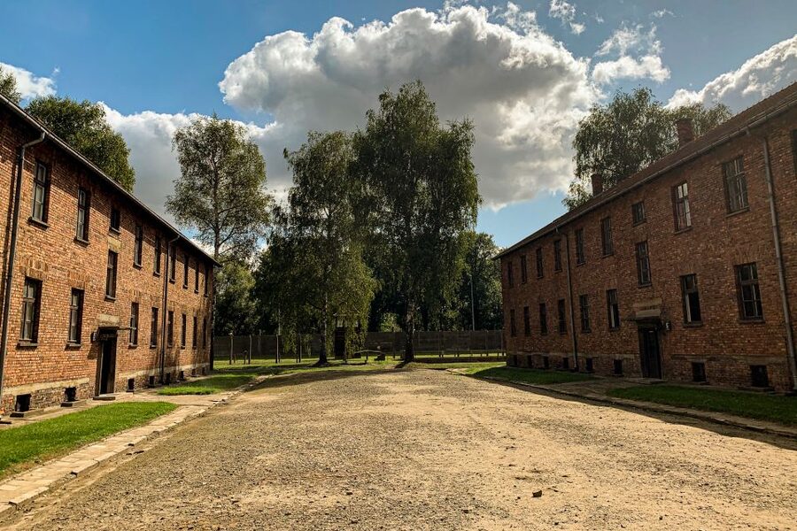From Krakow: Auschwitz-Birkenau Memorial and Museum Tour - Birkenau and the scale of the killing center