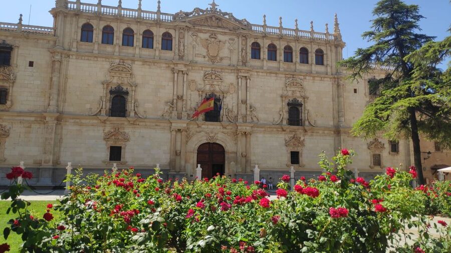 From Madrid: Alcalá de Henares & Cervantes Museum Day Trip - The Archbishops Palace and Catherine of Aragon