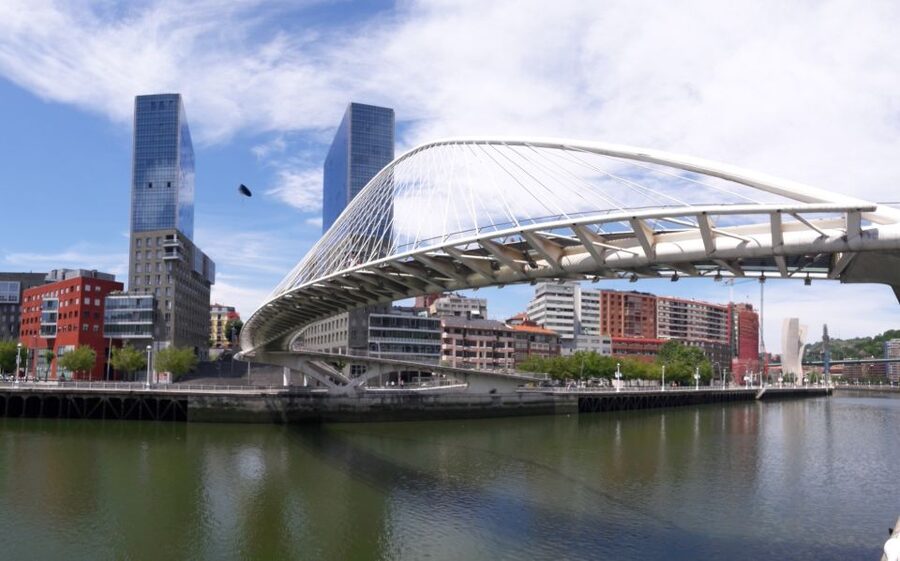 From San Sebastian: Bilbao & Guggenheim Museum Private Tour - Practical limits to keep in mind