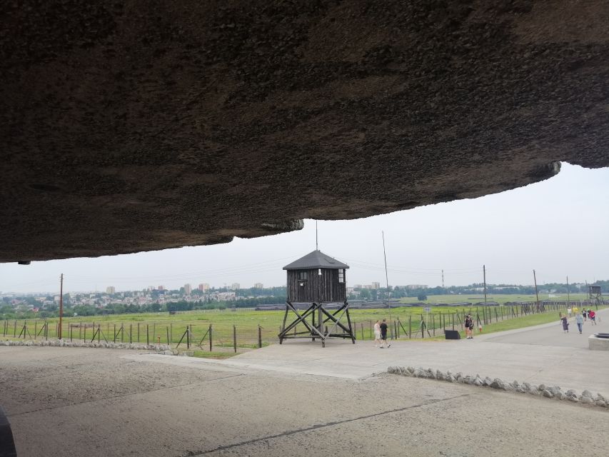 From Warsaw: Lublin and Majdanek State Museum Day Tour - Who should book this day trip?