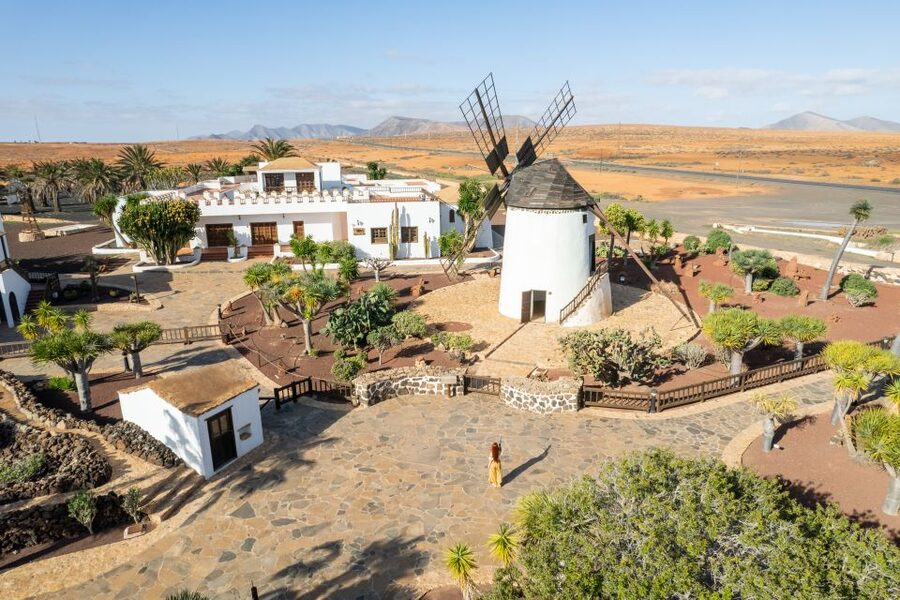 Fuerteventura: Tickets to Salt, Cheese and Windmill Museums - Key points at a glance
