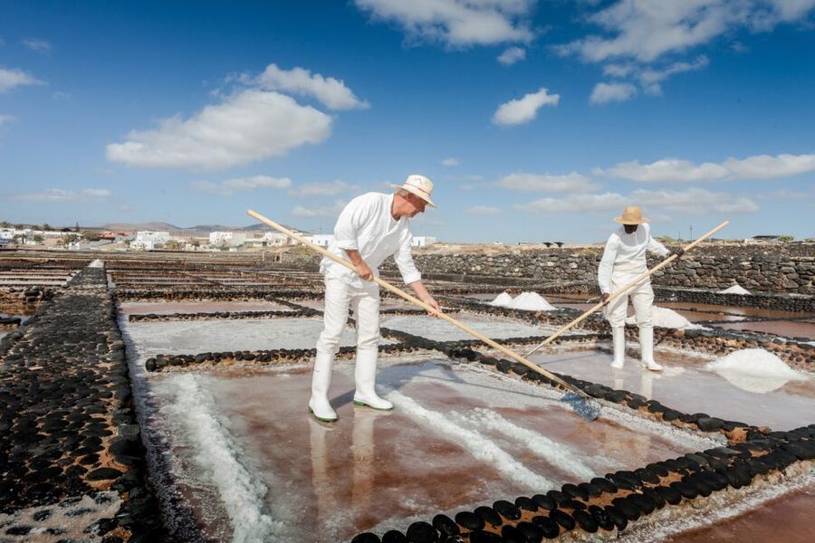 Fuerteventura: Tickets to Salt, Cheese and Windmill Museums - Who will enjoy this combination most