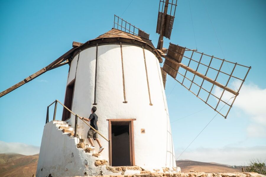 Fuerteventura: Tickets to Salt, Cheese and Windmill Museums - Majorero Cheese Museum: the island’s goat-cheese story
