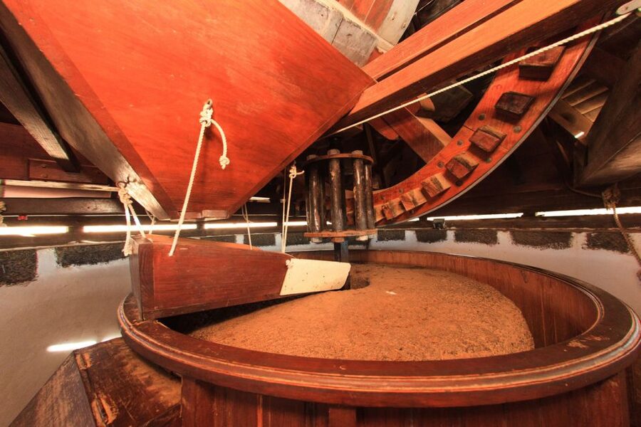 Fuerteventura: Tickets to Salt, Cheese and Windmill Museums - Language, staff, and the self-guided format