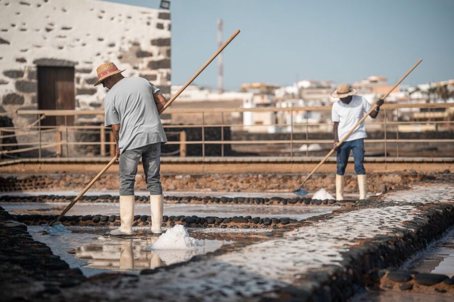 Fuerteventura: Tickets to Salt, Cheese and Windmill Museums - Salinas del Carmen: where salt is still made