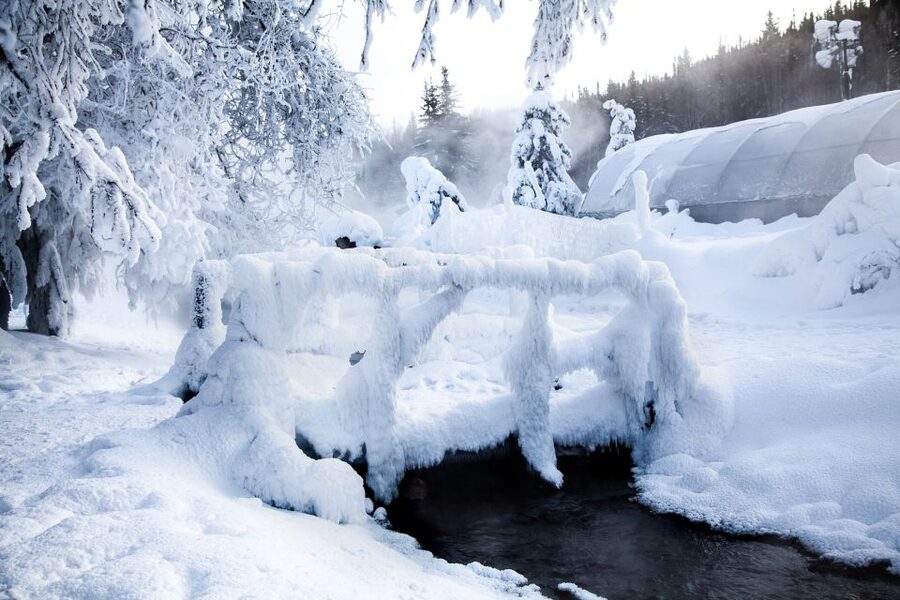 Full Day Ice Museum and Chena Hot Springs Tour - Lunch at Chena Hot Springs