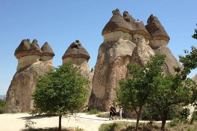 Full-Day Tour in Cappadocia with Open Air Museum - Devrent Valley and the art of seeing animals in stone
