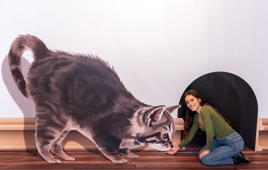 Funchal: 3D Fun Art Museum - Is $12 a fair price?