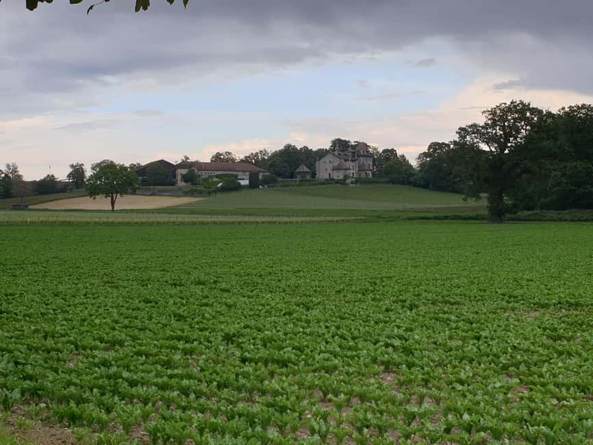 Geneva Countryside And Art Museum At A Castle Wine By E-Bike - Who should choose this outing?