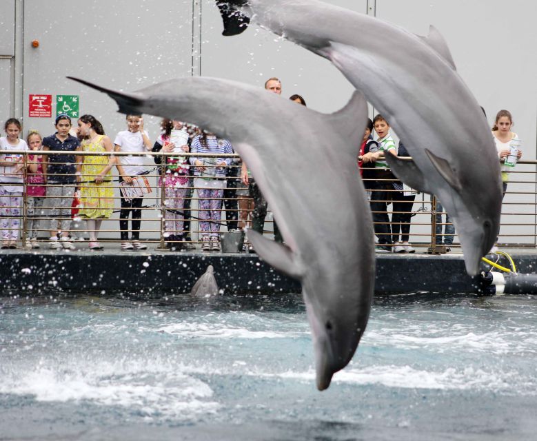 Genoa: Aquarium, Galata Museum and Submarine Entry Tickets - Going aboard submarine S518 Nazario Sauro