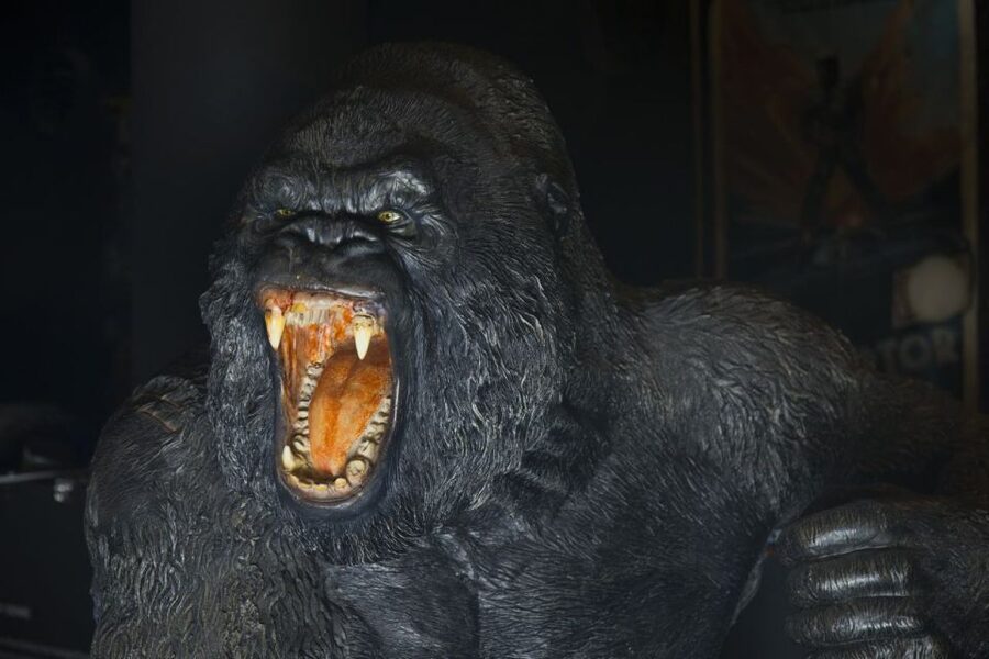 Genoa: FantaCinema Museum Entry Ticket - Who Will Get the Most From the Visit