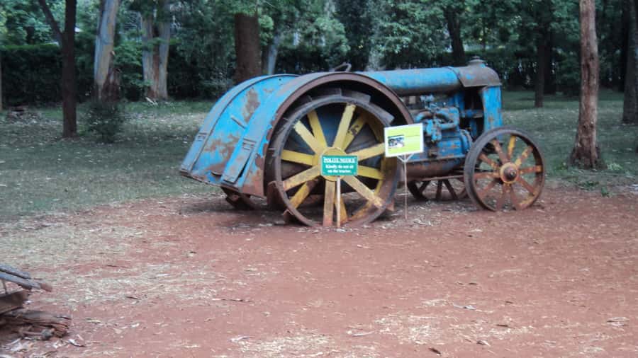 Giraffe Center and Karen Blixen Museum Tour from Nairobi - Why this makes a good Nairobi half day