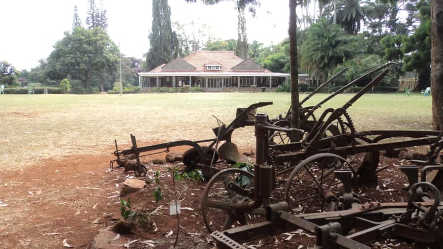 Giraffe Center and Karen Blixen Museum Tour from Nairobi - How the timing really works