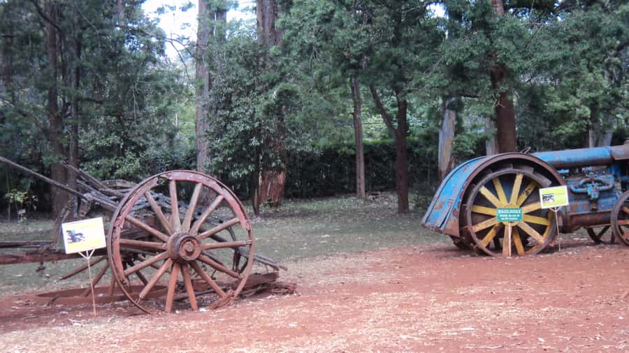 Giraffe Center and Karen Blixen Museum Tour from Nairobi - Who should book this experience