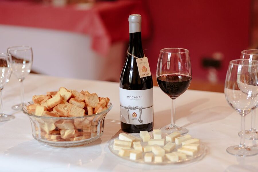 Gran Canaria: Winery Tour, Wine Museum, and Tasting - Walking through organic vines in Gran Canaria’s sun