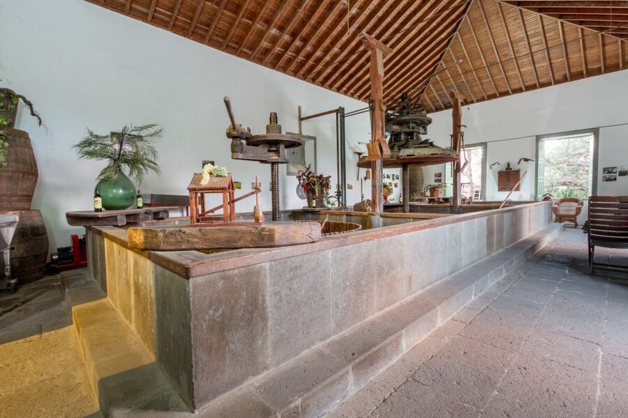 Gran Canaria: Winery Tour, Wine Museum, and Tasting - The old stone lagar and traditional wine work