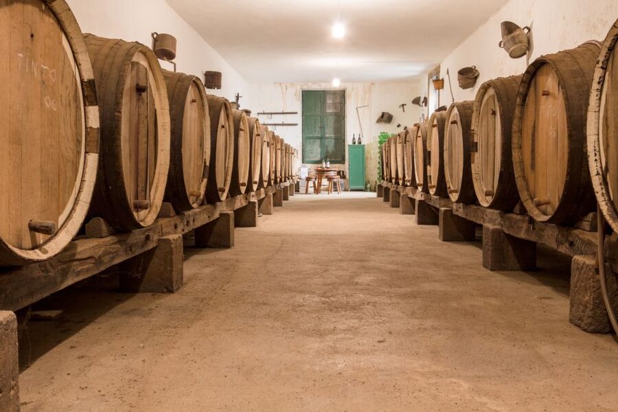 Gran Canaria: Winery Tour, Wine Museum, and Tasting - Tasting two wines with cheese, toast, and olives