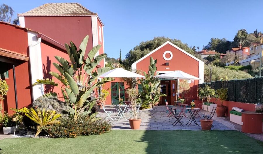 Gran Canaria: Winery Tour, Wine Museum, and Tasting - Who will enjoy this winery tour most