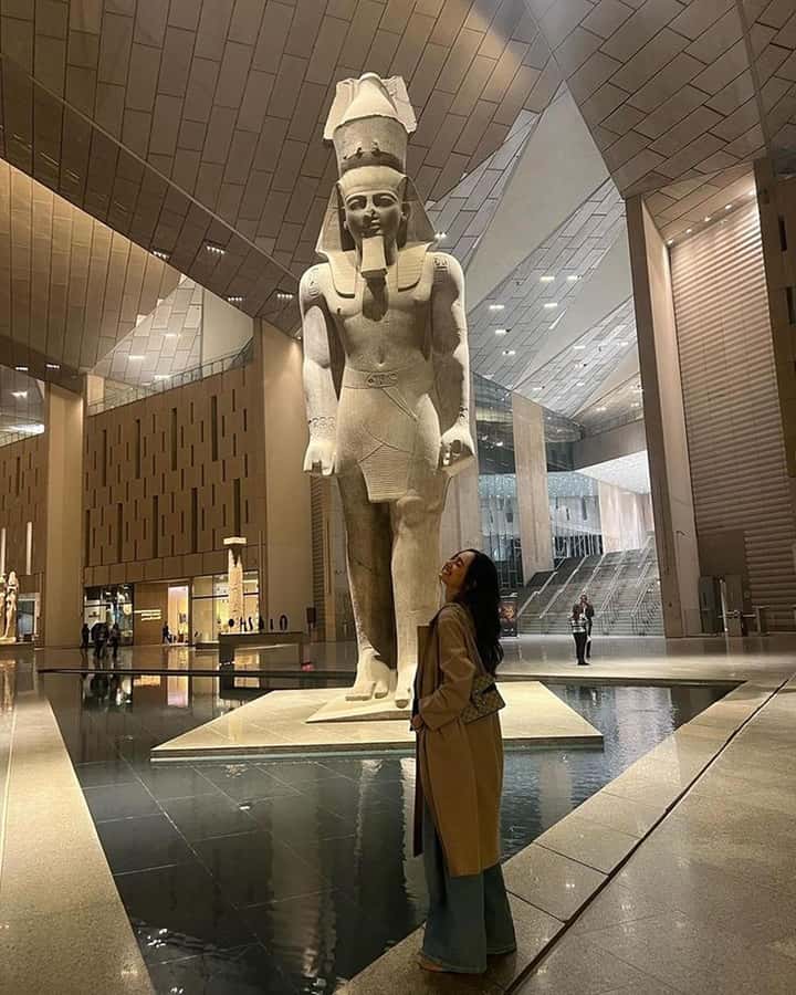 Grand Egyptian Museum Private Guided Tour(GEM) - Transport, timing, and what the $115 price covers
