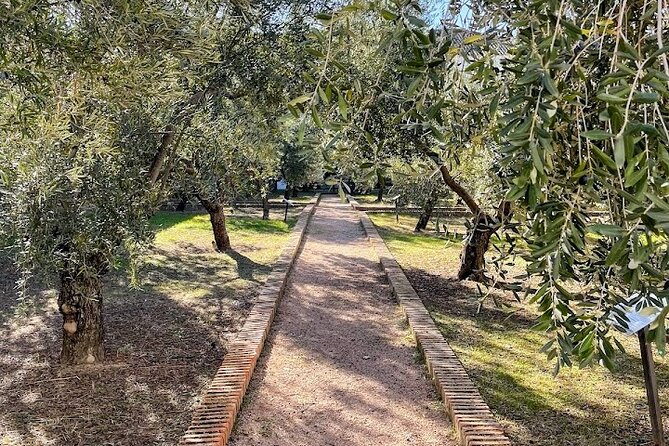 Guided tour of the Museum of Olive Culture Oil Tasting - Why this museum matters in Jaén