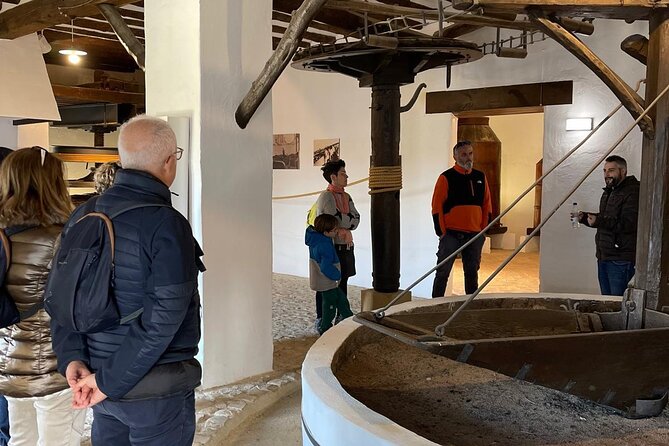 Guided tour of the Museum of Olive Culture Oil Tasting - Entering the Cathedral of Oil