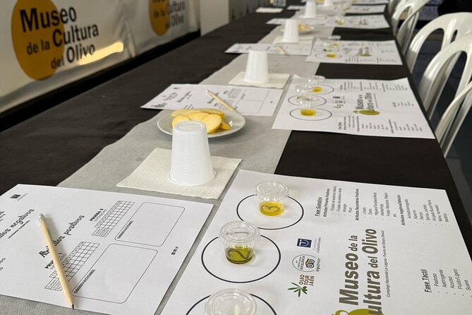 Guided tour of the Museum of Olive Culture Oil Tasting - Planning your visit to Finca Hacienda La Laguna