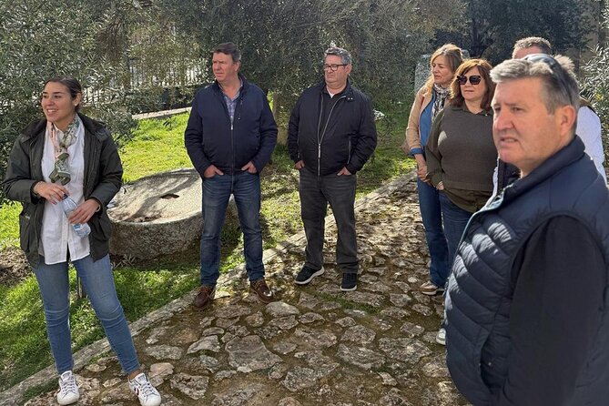 Guided tour of the Museum of Olive Culture Oil Tasting - Who will enjoy this olive-oil tour