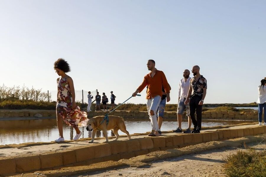 Guided tour of the Trapani Salt Pans and Salt Museum - The best parts and the limits