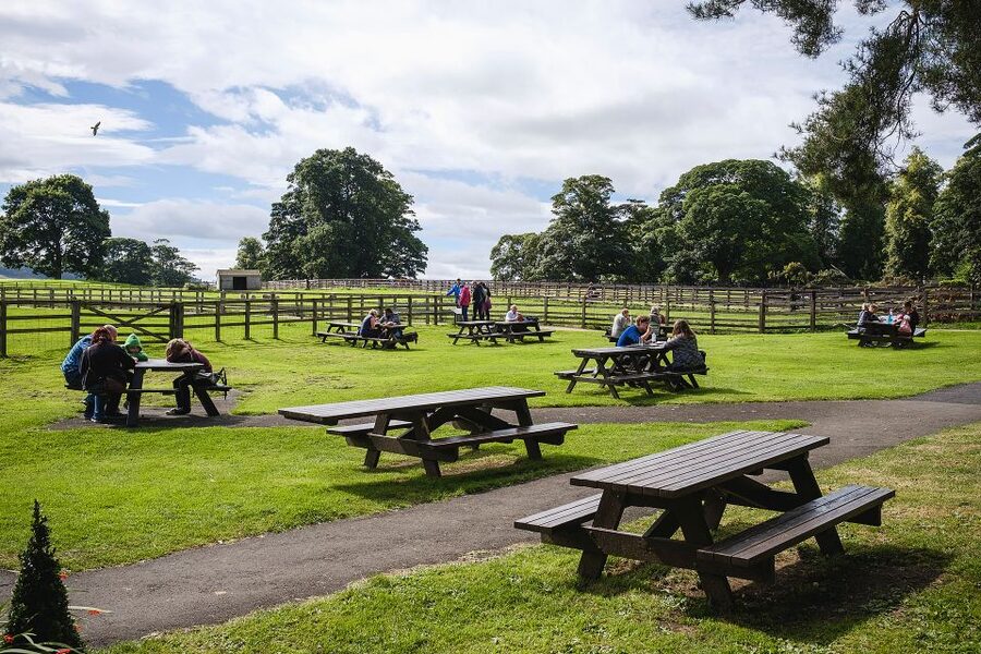 Hadrian's Wall: Chesters Roman Fort and Museum Entry Ticket - Food, comfort, and practical preparation