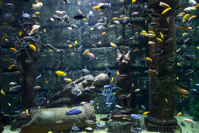 Half Day Antalya Aquarium Tour And Wax Museum - How the free time works for families