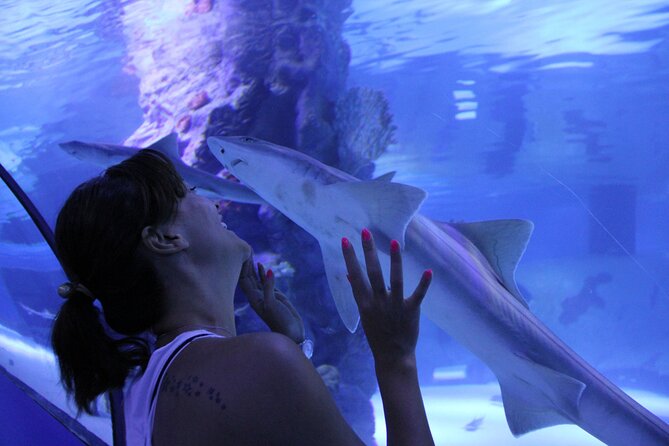 Half Day Antalya Aquarium Tour And Wax Museum - What the $70 price includes