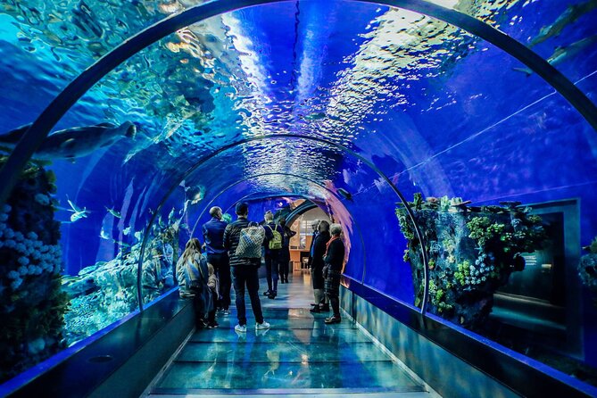 Half Day Antalya Aquarium Tour And Wax Museum - Communication, pickup, and return details