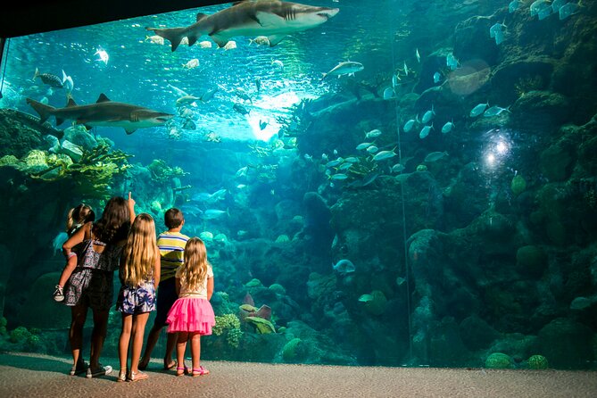 Half Day Antalya Aquarium Tour And Wax Museum - Who should book this Antalya experience