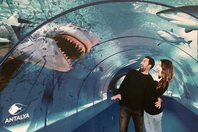 Half Day Antalya Aquarium Tour And Wax Museum - Two and a half hours inside Antalya Aquarium