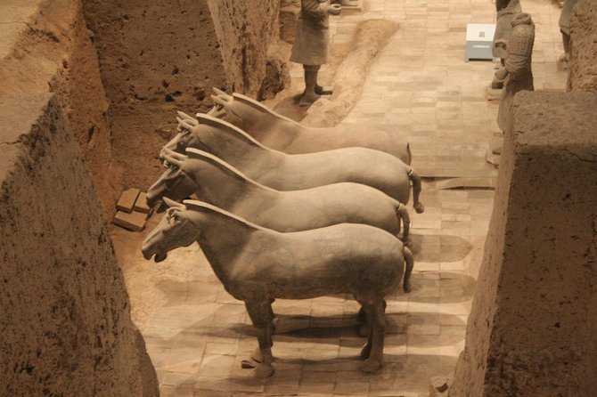 Half-Day Mini Group Xian Tour to Terracotta Warriors Museum - Lunch, water, and the end at Big Wild Goose Pagoda