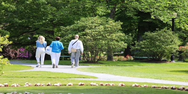Halifax: Small Group Walking Tour with Citadel & Museum - Camp Hill Cemetery and the Halifax Common