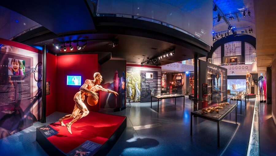 Heidelberg: KÖRPERWELTEN Museum Entry Ticket - How long should you plan for the visit?