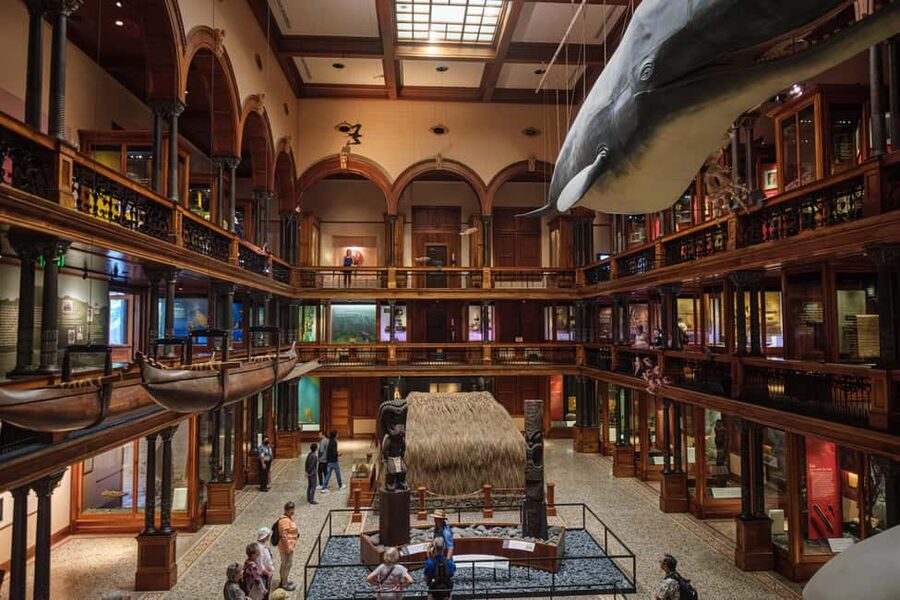 Honolulu: Bishop Museum General Admission Ticket - See Hawaii through the wider Pacific