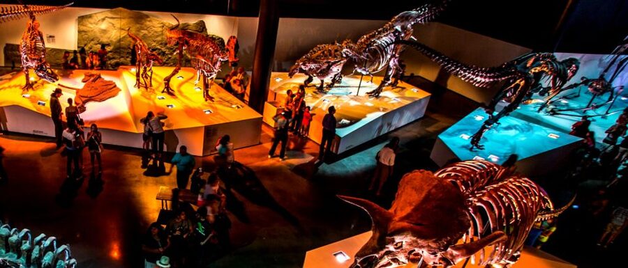 Houston: 1-Day or 3-Day Museum Pass - Key points to know before you book